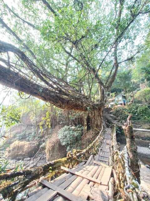 Odyssey Stays Nongriat - 3Kms Trek From Main Road Cherrapunji Exterior photo